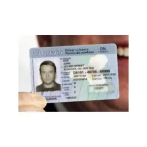 canadian driver license